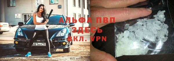 мяу мяу мука Арсеньев