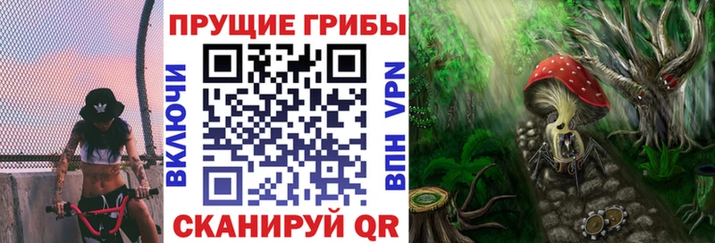 блэк спрут как войти  Очёр  Галлюциногенные грибы Cubensis  закладки 